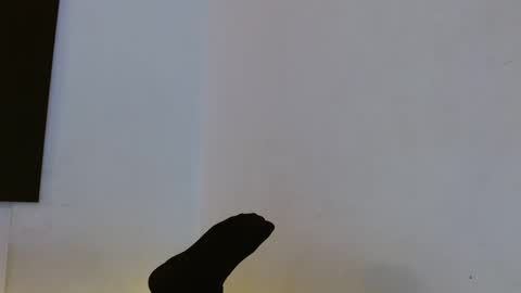 Mariam Calad online show from December 24, 2024, 9:17 am