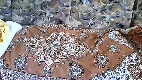 marian20242025 online show from November 1, 2025, 7:10 am