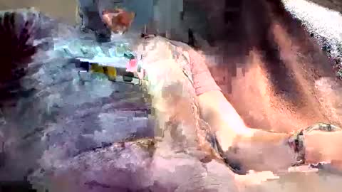 Snapshot of mark102839 chatting on March 13, 2026, 8:26 pm mark102839 online show from March 13, 2026, 8:26 pm