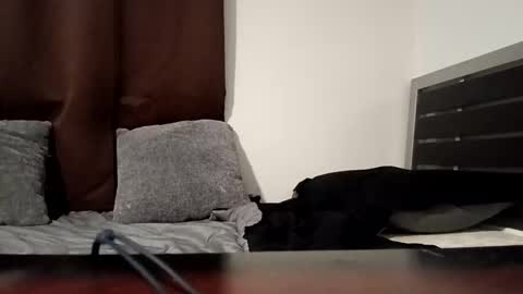 Snapshot of markbwcusmc chatting on January 15, 2026, 2:10 pm markbwcusmc online show from January 15, 2026, 2:10 pm