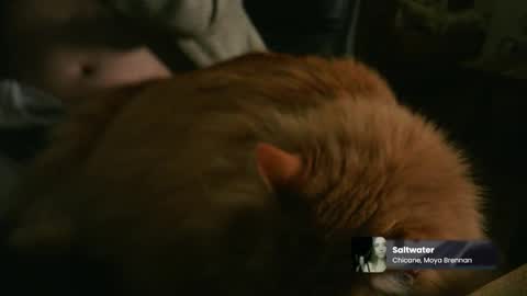 marnieccc online show from February 21, 2026, 4:35 am