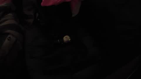 martamoontrans online show from November 17, 2025, 10:32 am