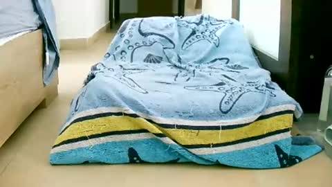 Play with me I obey I promise  online show from October 12, 2025, 10:58 am