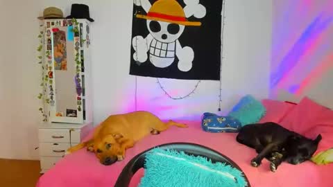 Snapshot of mary_jane1_ chatting on April 18, 2026, 7:07 pm mary online show from April 18, 2026, 7:07 pm