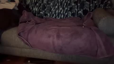 Masculine Hole online show from November 22, 2025, 7:29 am