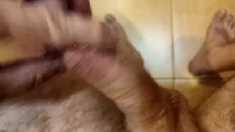 Snapshot of mastmachine87 chatting on October 16, 2025, 3:13 pm Chriss online show from October 16, 2025, 3:13 pm