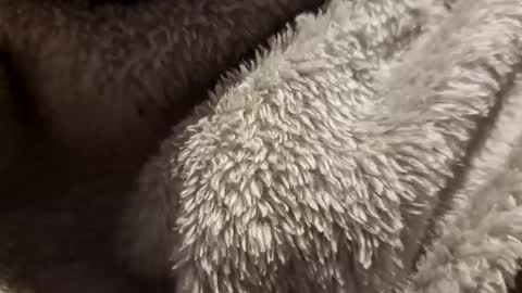 mattca80 online show from October 4, 2025, 2:53 am