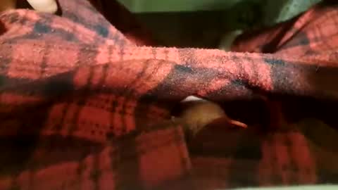 mattca80 online show from April 20, 2026, 5:32 am