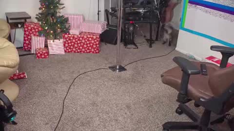 Matt Cash online show from December 14, 2024, 2:12 am