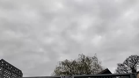 Mattythelog online show from March 19, 2026, 9:35 am