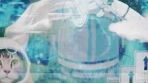 Snapshot of max_original chatting on January 28, 2025, 7:00 pm Future Max online show from January 28, 2025, 7:00 pm