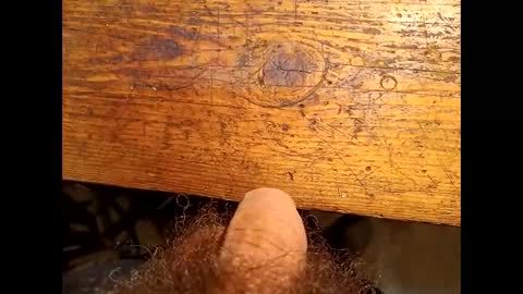 Max online show from December 29, 2024, 1:17 pm