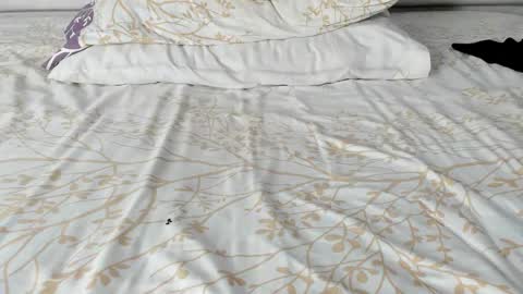 Maybelline69 online show from November 20, 2025, 2:23 am