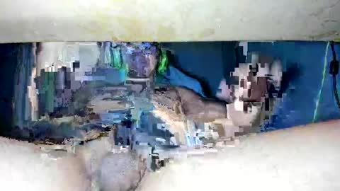 Snapshot of maykalvess chatting on February 10, 2025, 9:58 pm maykalvess online show from February 10, 2025, 9:58 pm