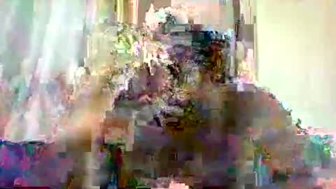 mclntz_bbc online show from May 13, 2026, 12:24 pm
