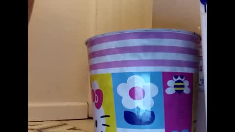 Snapshot of meaderd740870 chatting on January 23, 2025, 4:19 am meaderd740870 online show from January 23, 2025, 4:19 am