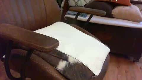 medfirebear online show from November 28, 2025, 5:59 pm