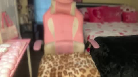 Snapshot of meetsouthernpeach chatting on March 17, 2026, 3:59 pm Southern Peach online show from March 17, 2026, 3:59 pm