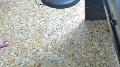 Snapshot of megan_hally chatting on February 1, 2025, 6:00 am Megan online show from February 1, 2025, 6:00 am