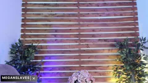 Snapshot of megan_raiin chatting on November 18, 2025, 8:41 am megan_raiin online show from November 18, 2025, 8:41 am