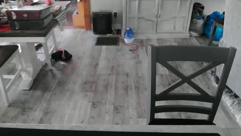 Snapshot of meganfitzy chatting on February 27, 2025, 10:42 pm GlamTransGoddess online show from February 27, 2025, 10:42 pm