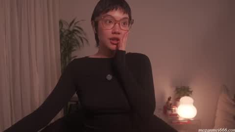 Snapshot of meganmei666 chatting on April 21, 2026, 2:04 am for more 3 online show from April 21, 2026, 2:04 am