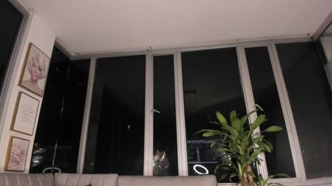 Snapshot of megann__sweet chatting on January 31, 2025, 10:42 am Mara online show from January 31, 2025, 10:42 am