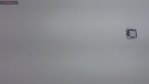 Snapshot of meghan_taylor__ chatting on April 21, 2026, 12:01 am Meghan online show from April 21, 2026, 12:01 am