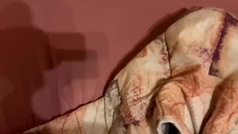 Snapshot of melissa9040 chatting on February 9, 2026, 11:20 pm melissa9040 online show from February 9, 2026, 11:20 pm