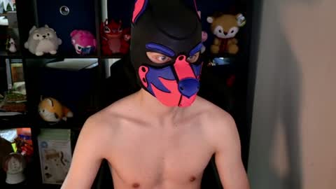 Snapshot of mellpup chatting on June 8, 2026, 8:42 pm MellPUP online show from June 8, 2026, 8:42 pm