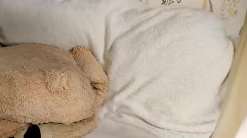 MelMooon online show from March 11, 2026, 8:59 pm