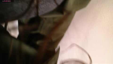 Melodi online show from June 23, 2026, 12:58 pm