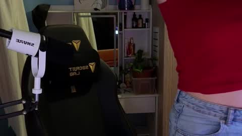 Snapshot of memisecrets chatting on February 17, 2026, 5:30 pm Megumi Aina online show from February 17, 2026, 5:30 pm