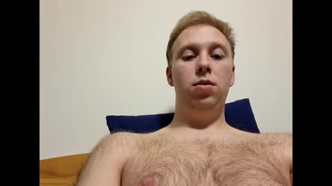 Snapshot of meow732 chatting on October 24, 2025, 12:19 am meow732 online show from October 24, 2025, 12:19 am