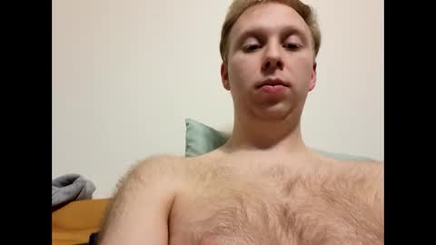 Snapshot of meow732 chatting on November 20, 2025, 2:01 am meow732 online show from November 20, 2025, 2:01 am