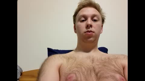 Snapshot of meow732 chatting on December 4, 2025, 3:38 am meow732 online show from December 4, 2025, 3:38 am