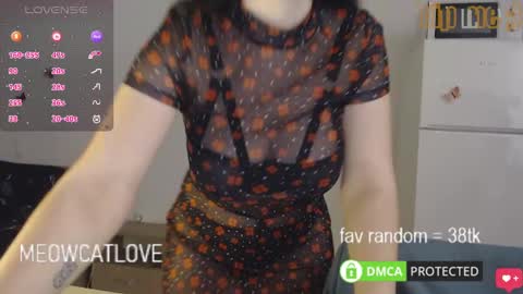 meowcatlove online show from January 29, 2025, 8:14 pm