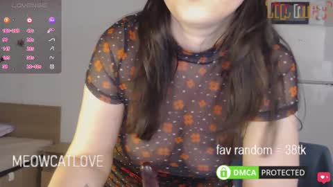 meowcatlove online show from March 1, 2025, 10:42 pm