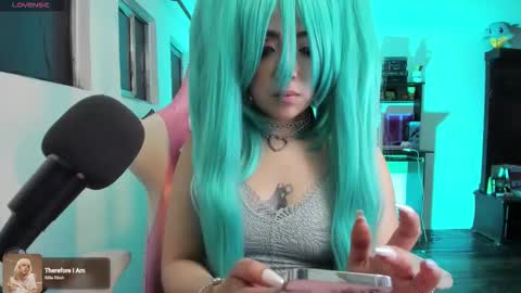 Snapshot of meowmelf chatting on December 2, 2025, 1:00 am meowmelf online show from December 2, 2025, 1:00 am