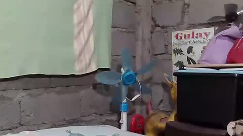 merietiny online show from January 22, 2025, 5:59 am