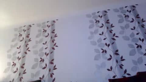 Snapshot of metallbuddy chatting on January 12, 2025, 9:40 pm ask me online show from January 12, 2025, 9:40 pm