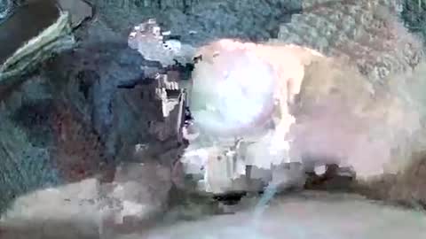 Snapshot of mexianthehawk chatting on November 3, 2025, 11:22 am mexianthehawk online show from November 3, 2025, 11:22 am