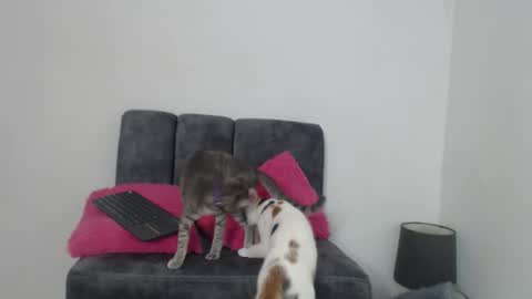 M I A online show from November 13, 2025, 11:20 am