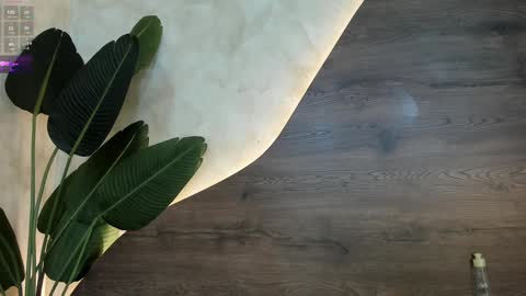 Snapshot of mia_lacy chatting on January 30, 2025, 1:55 am mia_lacy online show from January 30, 2025, 1:55 am