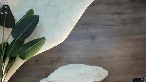 Snapshot of mia_lacy chatting on February 12, 2025, 10:37 pm mia_lacy online show from February 12, 2025, 10:37 pm