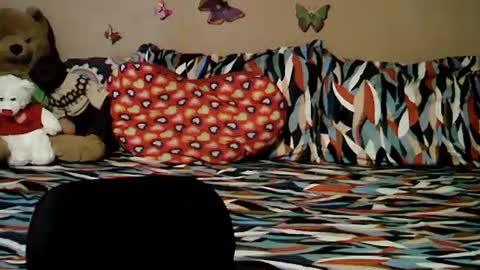 mia_rein online show from June 26, 2026, 6:29 am
