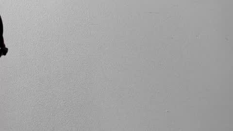 mia online show from October 12, 2025, 12:37 pm