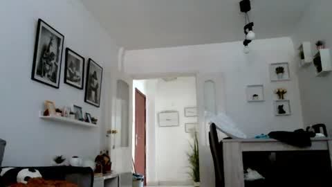 Snapshot of mich6921 chatting on July 14, 2026, 5:18 pm MILO MIAMI online show from July 14, 2026, 5:18 pm