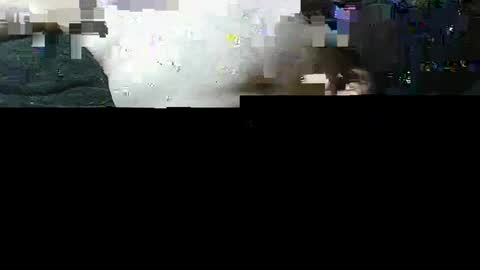 michaelspice online show from September 14, 2025, 4:50 pm