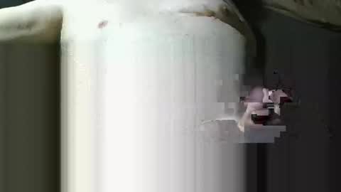 michaelspice online show from December 21, 2025, 7:10 pm